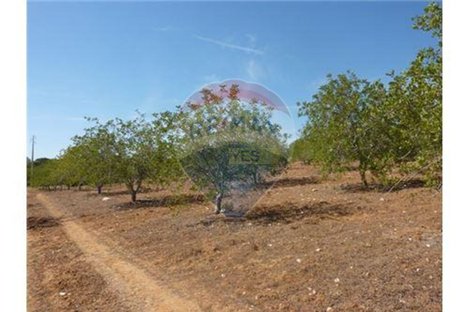 100m² Land in Albufeira, Portugal No. 43076