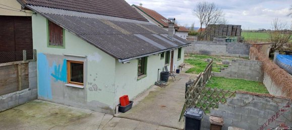 3 rooms Townhouse in Wullersdorf, Austria No. 135596 14