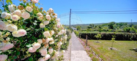 4 bedrooms House in Lama de Arcos, Portugal No. 183107 14