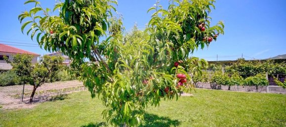 4 bedrooms House in Lama de Arcos, Portugal No. 183107 10