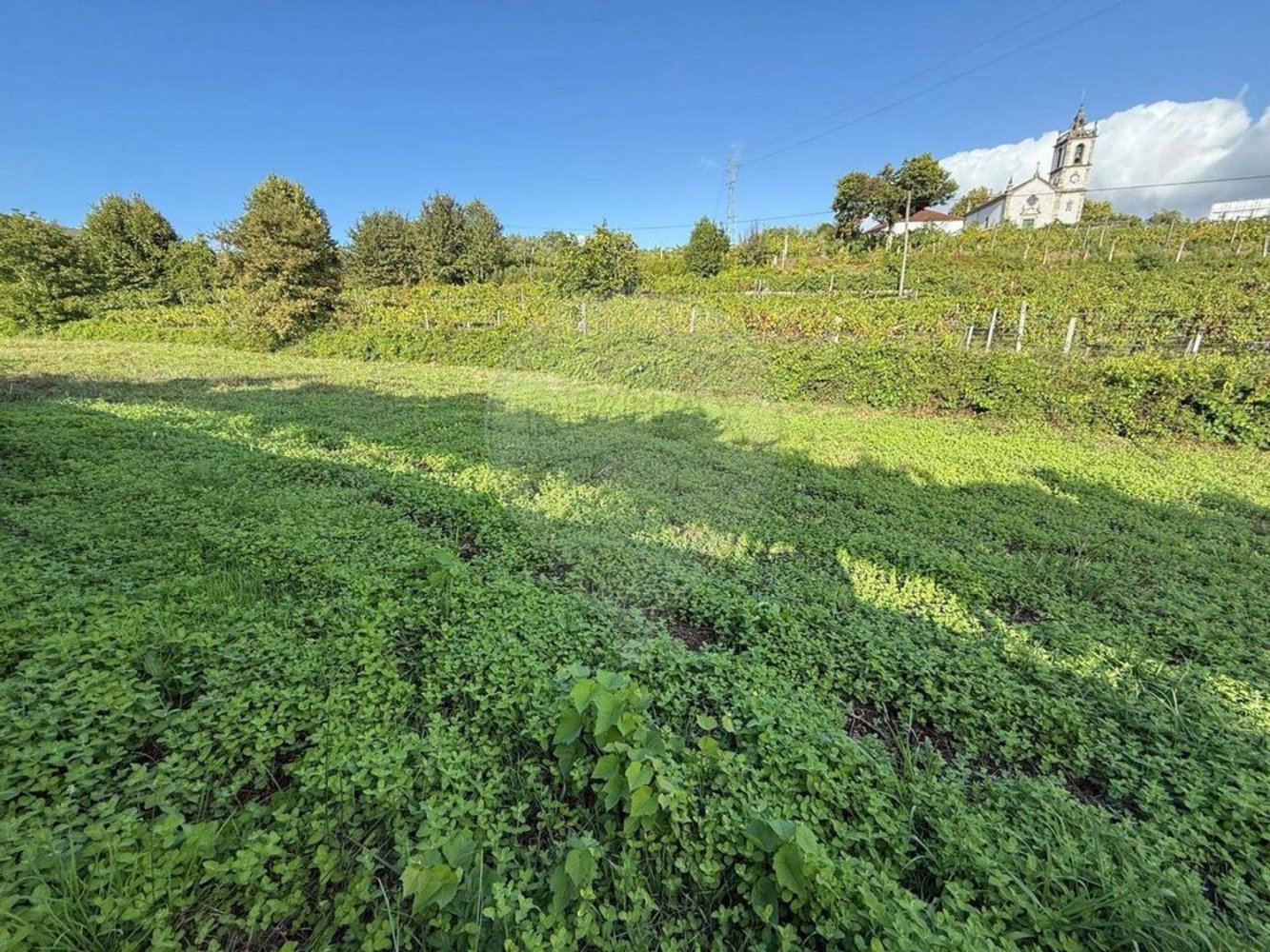 Grundstück in Arcos de Valdevez, Portugal, Nr. 341450