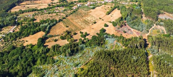 9 Schlafzimmer Grundstück in Tabua, Portugal, Nr. 277226 7