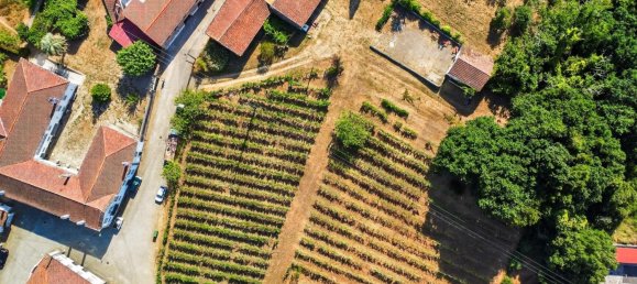9 Schlafzimmer Grundstück in Tabua, Portugal, Nr. 277226 4