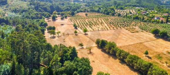 9 Schlafzimmer Grundstück in Tabua, Portugal, Nr. 277226 16