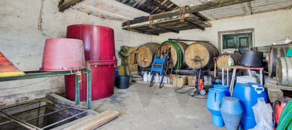 9 Schlafzimmer Grundstück in Tabua, Portugal, Nr. 277226 27