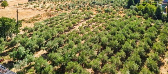 9 Schlafzimmer Grundstück in Tabua, Portugal, Nr. 277226 10