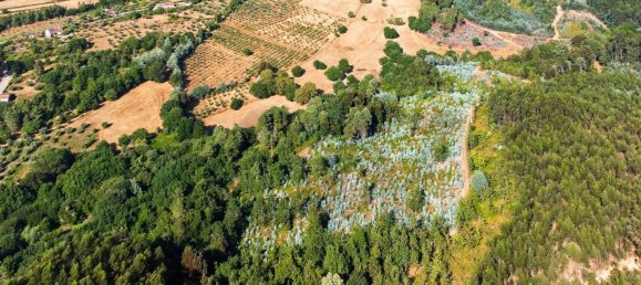 9 Schlafzimmer Grundstück in Tabua, Portugal, Nr. 277226 6