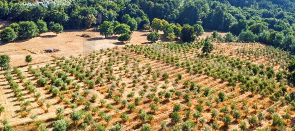 9 Schlafzimmer Grundstück in Tabua, Portugal, Nr. 277226 9