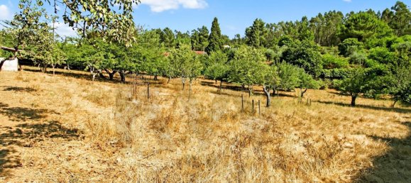 9 Schlafzimmer Grundstück in Tabua, Portugal, Nr. 277226 32