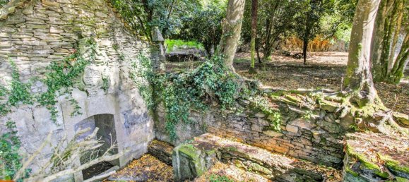 9 Schlafzimmer Grundstück in Tabua, Portugal, Nr. 277226 34