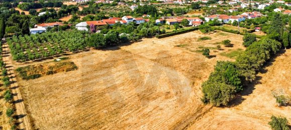 9 Schlafzimmer Grundstück in Tabua, Portugal, Nr. 277226 5