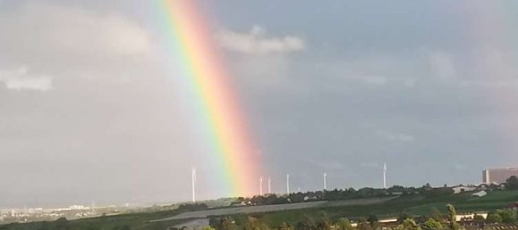 1 غرف نوم شقة في Mainz, Germany رقم 317919 5