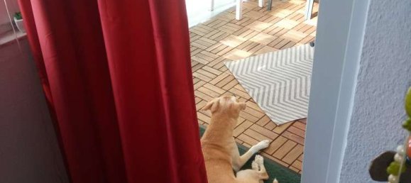 1 غرف نوم شقة في Mainz, Germany رقم 317919 4