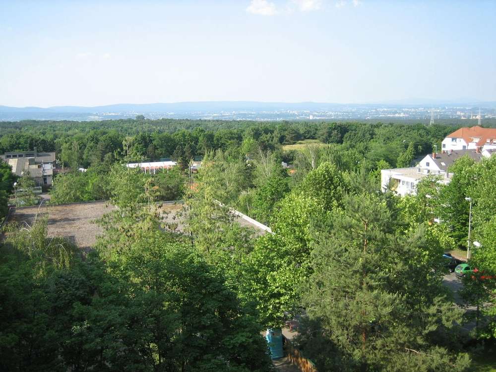 1 غرف نوم شقة في Mainz, Germany رقم 317919