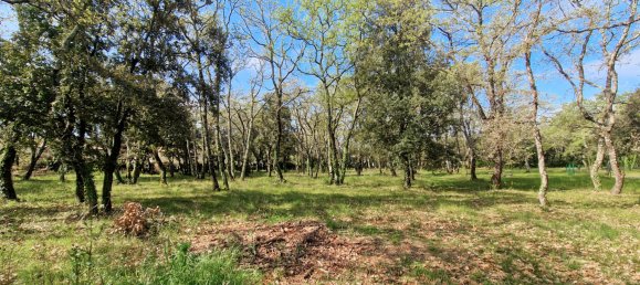 Terreno en Saint-Siffret, France 1200 m² No. 285092 2