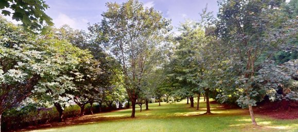 3 Schlafzimmer Haus in Povoacao, Portugal, Nr. 25883 22