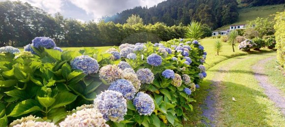 3 Schlafzimmer Haus in Povoacao, Portugal, Nr. 25883 21