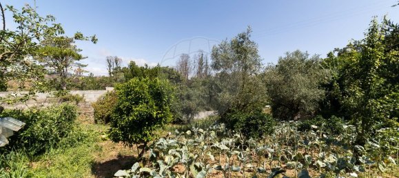 5 bedrooms House in Abiul, Portugal No. 180016 47