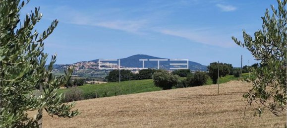 9-Zimmer Haus in Osimo, Italy, Nr. 266595 21