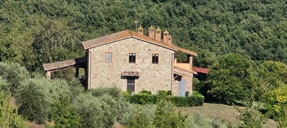 6 bedrooms House in San Venanzo, Italy No. 238562 6