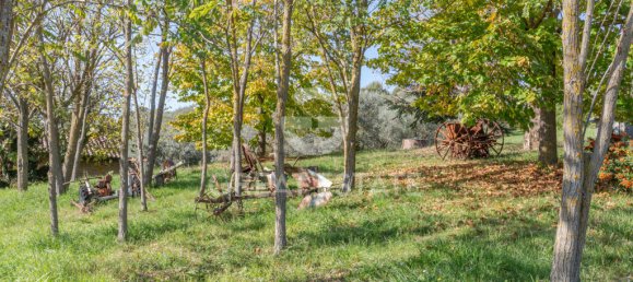 6 bedrooms House in San Venanzo, Italy No. 238562 25