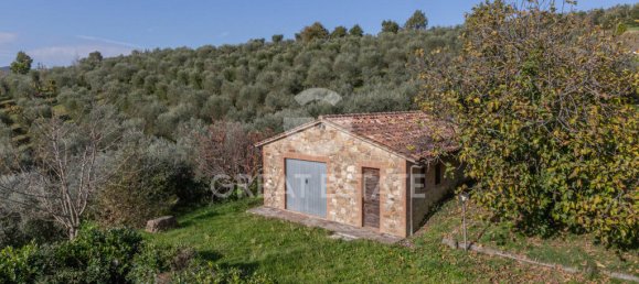 6 bedrooms House in San Venanzo, Italy No. 238562 28