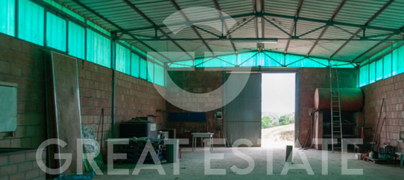 6 bedrooms House in San Venanzo, Italy No. 238562 17