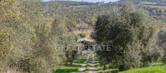 6 bedrooms House in San Venanzo, Italy No. 238562 31