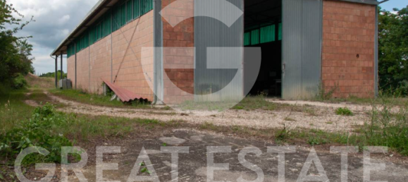 6 bedrooms House in San Venanzo, Italy No. 238562 34