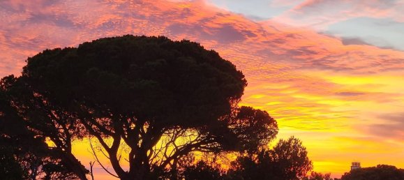 1 Schlafzimmer Wohnung in Castell-Platja d'Aro, Spain, Nr. 179416 21