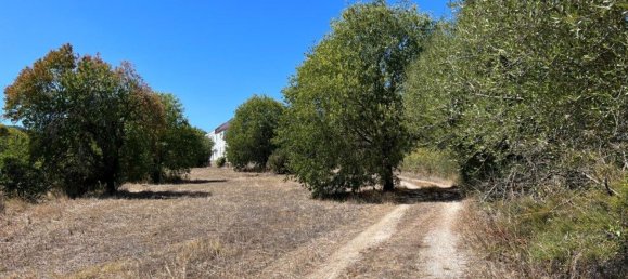 8 bedrooms House in Setubal, Portugal No. 141618 32