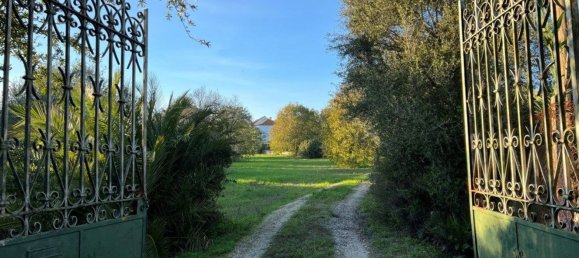 8 bedrooms House in Setubal, Portugal No. 141618 2