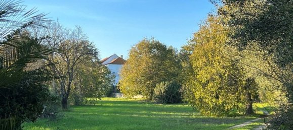 8 bedrooms House in Setubal, Portugal No. 141618 3