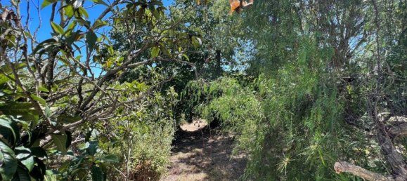 8 bedrooms House in Setubal, Portugal No. 141618 34