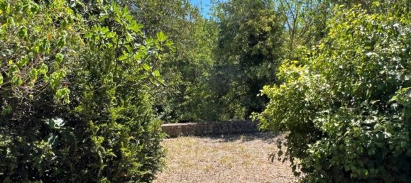 8 bedrooms House in Setubal, Portugal No. 141618 12