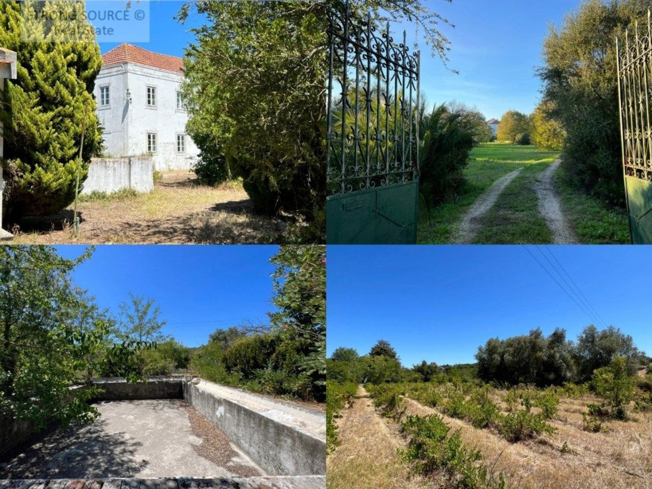 8 bedrooms House in Setubal, Portugal No. 141618