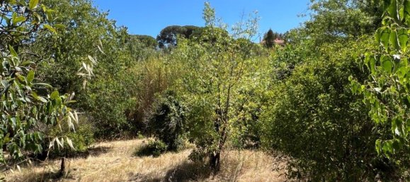 8 bedrooms House in Setubal, Portugal No. 141618 30