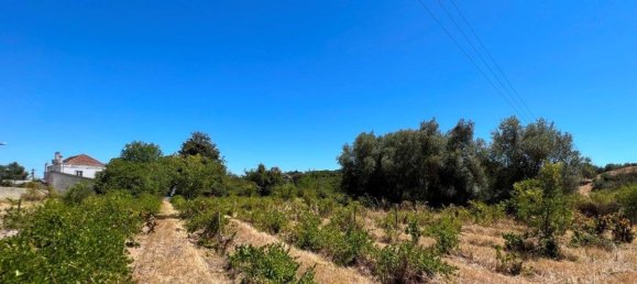 8 bedrooms House in Setubal, Portugal No. 141618 19