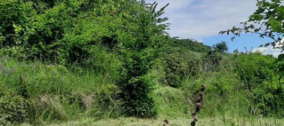 8272m² Land in Krems an der Donau, Austria No. 149319 4