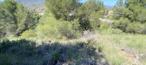 Terrain à Alhaurin el Grande, Spain 4143m² No. 126111 14