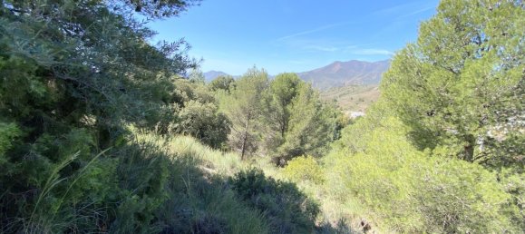 Terrain à Alhaurin el Grande, Spain 4143m² No. 126111 13