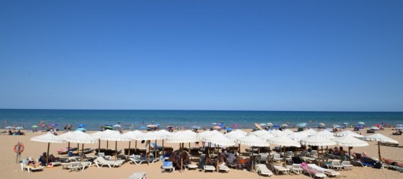 7 Schlafzimmer Haus in Guardamar del Segura, Spain, Nr. 156732 3