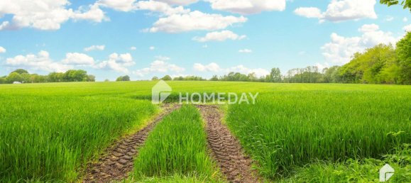 6 bedrooms House in Segeberg, Germany No. 267120 28