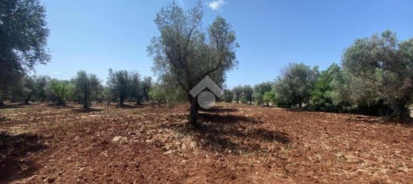 Studio in Ostuni, Italy No. 196333 32