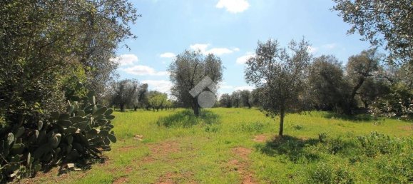 Studio in Ostuni, Italy No. 196333 21