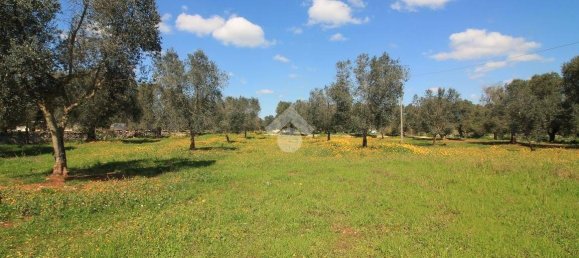 Studio in Ostuni, Italy No. 196333 26