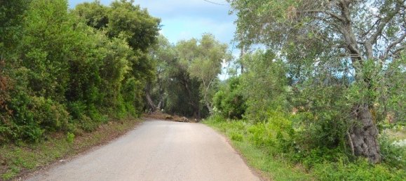 5500m² Hotel in Corfu, Greece No. 6699 11