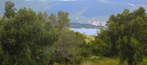 5500m² Hotel in Corfu, Greece No. 6699 5