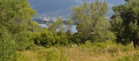 5500m² Hotel in Corfu, Greece No. 6699 6