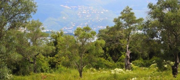 5500m² Hotel in Corfu, Greece No. 6699 9